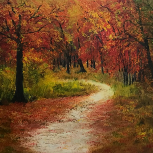 A Stroll through the fall colors