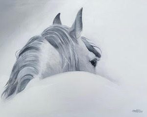Cabello Blanco