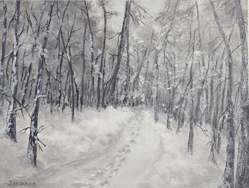 "Fresh Morning Snow"