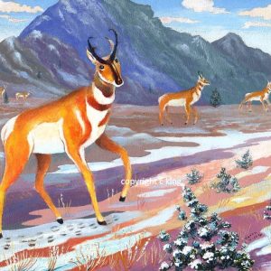 "Pronghorn in Winter"